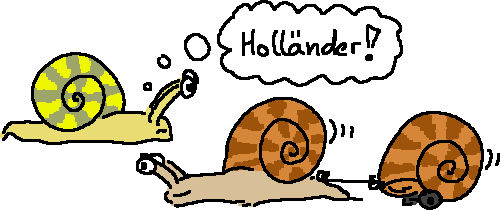 Hollandschnecke