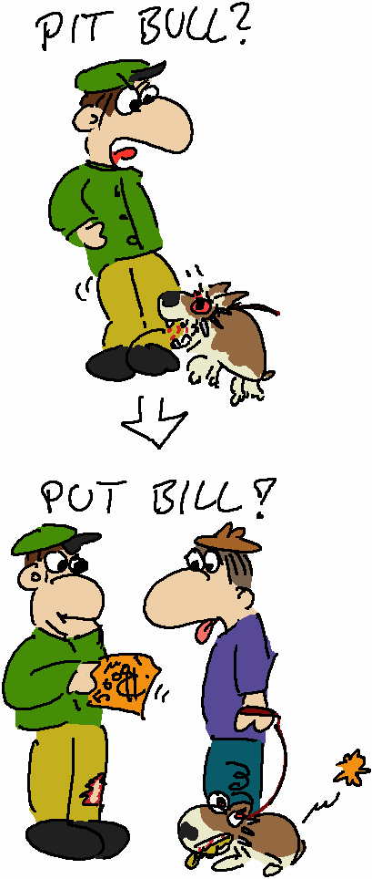 Pit Bull - Put Bill