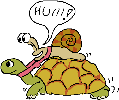 Schneller Schneck dank Schildkrötenzweck