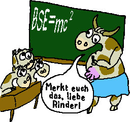 Rinderschule: BSE=mc²